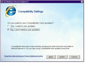 IE 8 Talks About Compatibility